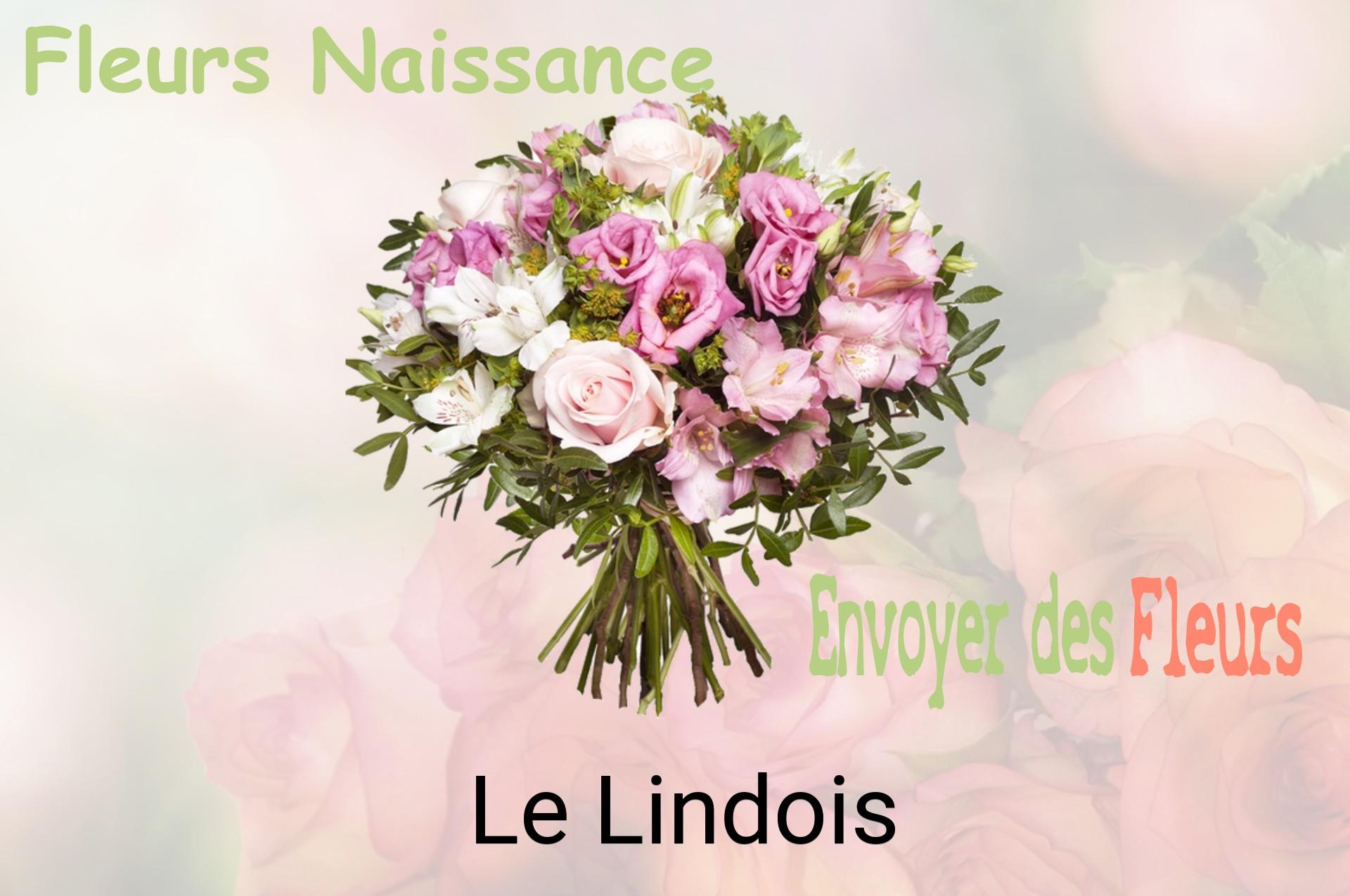 Bouquet de fleurs de naissance livré à Le Lindois